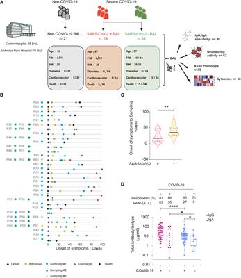 Persistent but dysfunctional mucosal SARS-CoV-2-specific IgA and low lung IL-1β associate with COVID-19 fatal outcome: A cross-sectional analysis